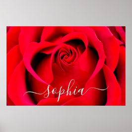 Foto für Elegante Rote Rose Blume Name Poster