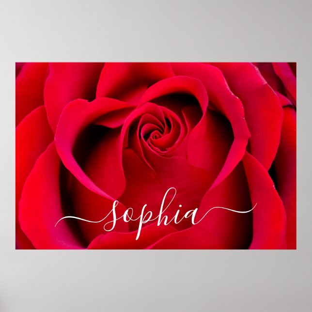 Foto für Elegante Rote Rose Blume Name Poster (Vorne)