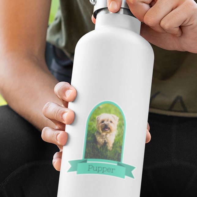 Foto für Haustiere Aufkleber (Von Creator hochgeladen)