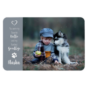 Foto für Haustiere - Foto für Hunde - Katzen-Fot Magnet