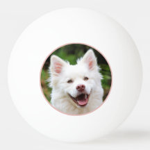 Foto für Haustiere Gerahmt Personalisiert
