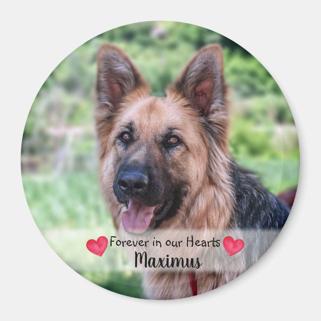 Foto für Haustiere - Hund - Katze - Gedenkstätte f Magnet (Vorne)