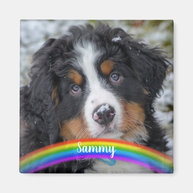 Foto für Haustiere - Hund - Katze - Gedenkstätte f Magnet (Vorne)