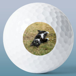 Foto für Haustiere Personalisiert modern Golfball