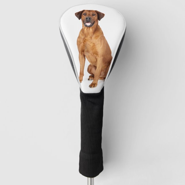 Foto für Haustiere Rhodesian Ridgeback Golf Headcover (Vorderseite)