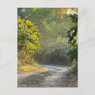 Foto für Herbstpfade Postkarte