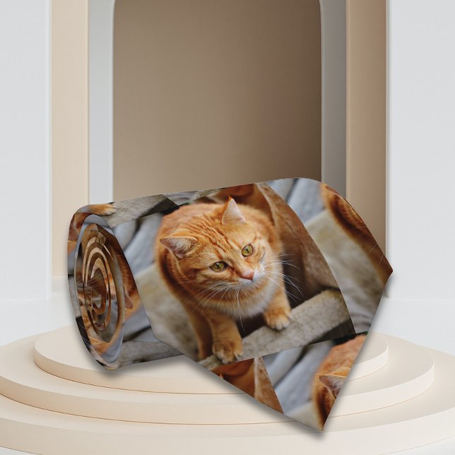 Foto für Katzen personalisieren benutzerdefinierte Krawatte (Von Creator hochgeladen)