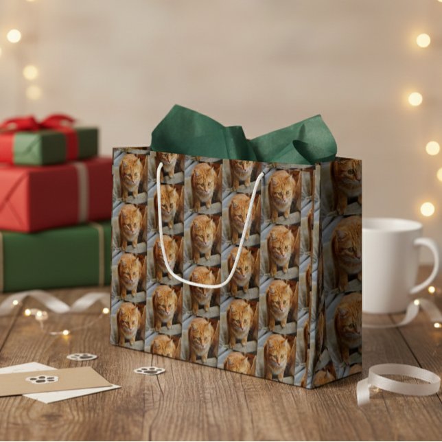 Foto für Katzen personalisieren Große Geschenktüte (Von Creator hochgeladen)