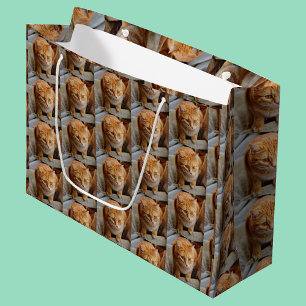 Foto für Katzen personalisieren Große Geschenktüte