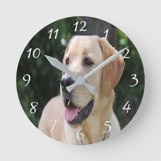 Foto für kundenspezifische Hunde - Acrylwand Runde Wanduhr (Vorderseite)