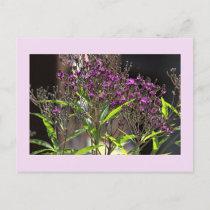 Foto für lila Wildblumen Postkarte