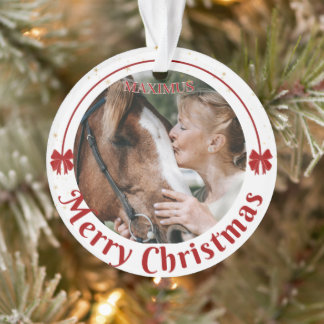 Foto für Pferdeame Ornament