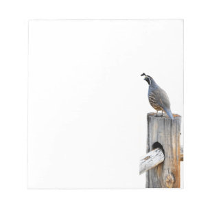 Foto für Qual-Papier Pad Stationierung Notizblock