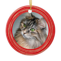 Foto für Rote Katzen-Gedenkangebot anpassen