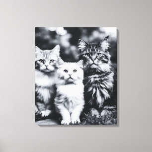Foto für Schwarze und Weiße Katzen Leinwanddruck