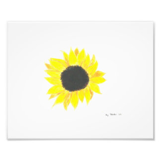 Foto für Sonnenblumen