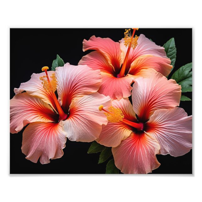 Foto für tropische Blume (Vorne)