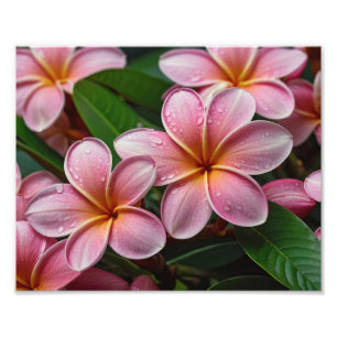 Foto für tropische Blume