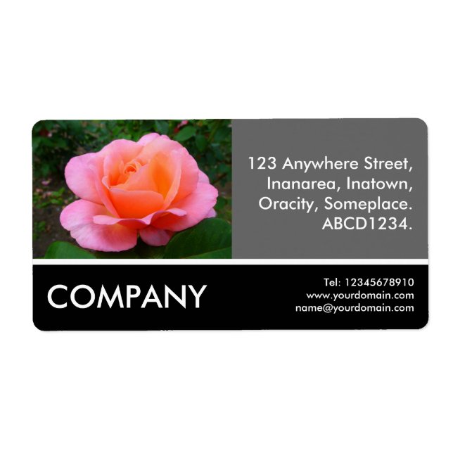 Foto für Unternehmen - Rosa Rose (Vorne)
