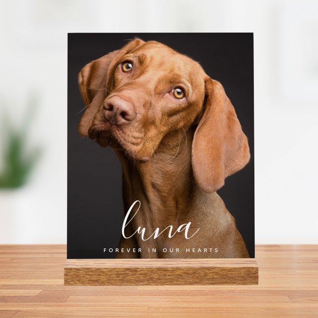 Foto-Gedenkfeier Acrylschild (Pet Photo Memorial Sign)