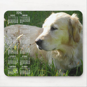 Foto Golden Retriever Calendar 2016 Mauspads