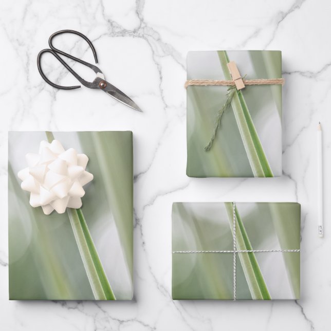 Foto "Grüne Pflanze" Geschenkpapier Set (Vorderseite)