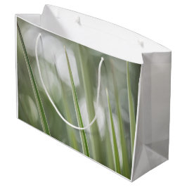 Foto "Grüne Pflanze" Große Geschenktüte