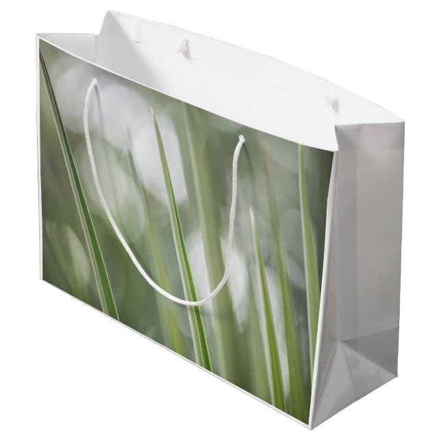Foto "Grüne Pflanze" Große Geschenktüte (Rückseite Schrägansicht)