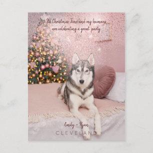 Foto Haustier anspruchsvolle Weihnachtsfeier Postkarte