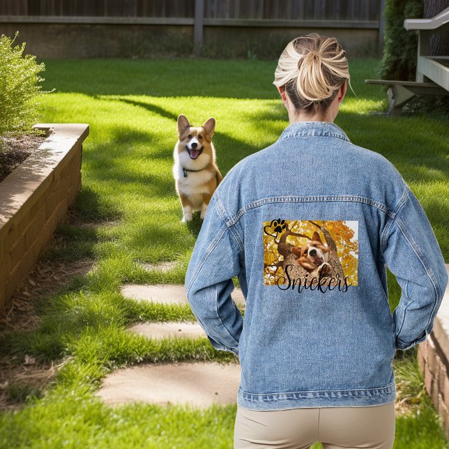 Foto Haustier Katze Jeansjacke (Von Creator hochgeladen)