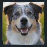 Foto hinzufügen Anpassen Halstuch<br><div class="desc">Pet-Foto anpassen,  Pet-Foto hinzufügen,  Dog-Foto hinzufügen,  Haustiere,  Haustiere,  Hunde,  personalisieren,  anpassen,  Foto,  generativekonzente Inhalte</div>