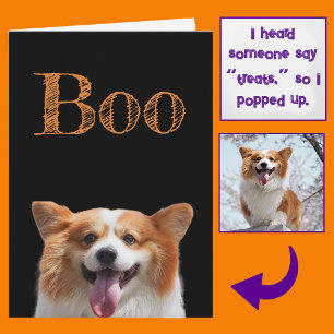 Foto hinzufügen! Lustiger süßer Peek-a-Boo Corgi H Karte