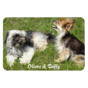 Foto hinzufügen magnet