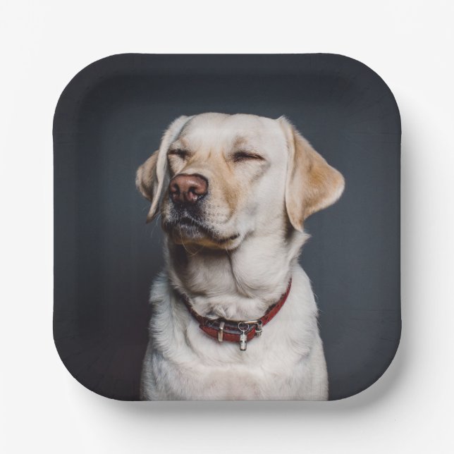 Foto hochladen pappteller (Vorderseite)