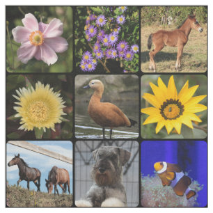 Foto hochladen stoff