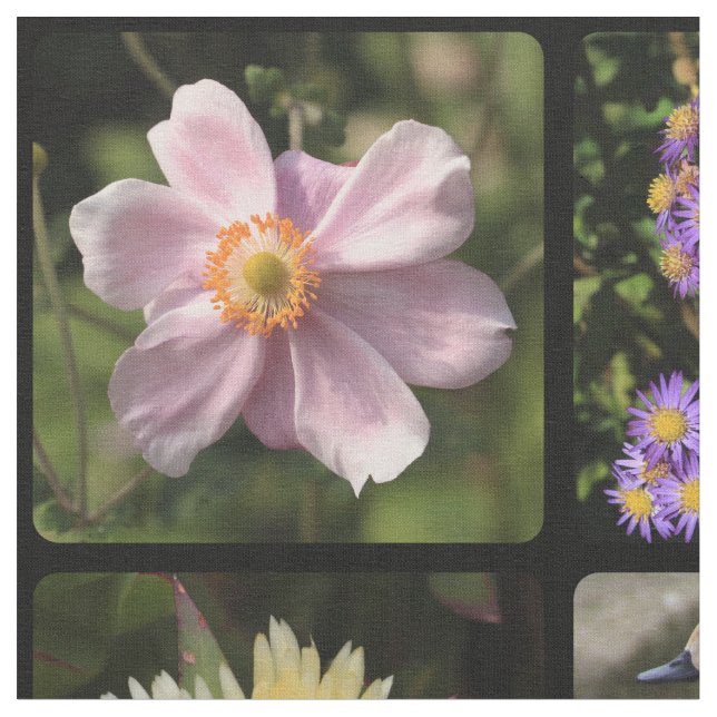 Foto hochladen stoff (Nahaufnahme)