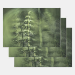 Foto Horsetail Geschenkpapier Set