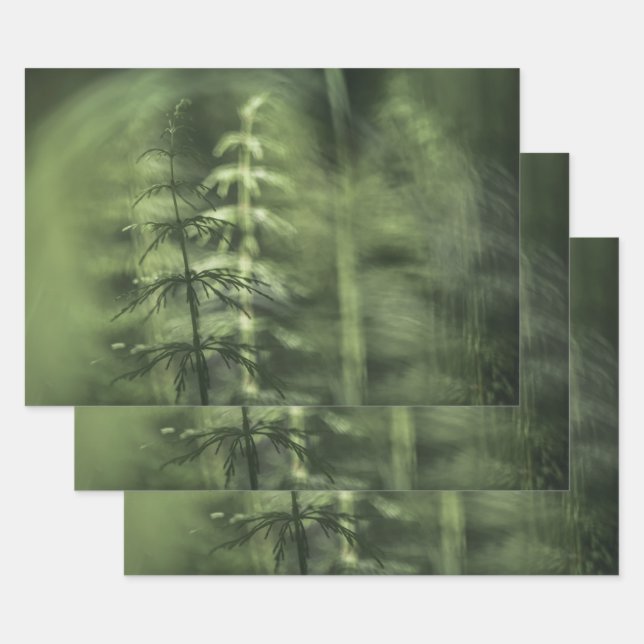 Foto Horsetail Geschenkpapier Set (Set)
