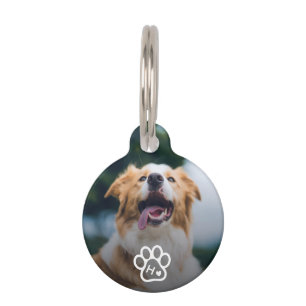Foto Hund Haustiere Monogramm Kontakt QR-Code Haustiermarke