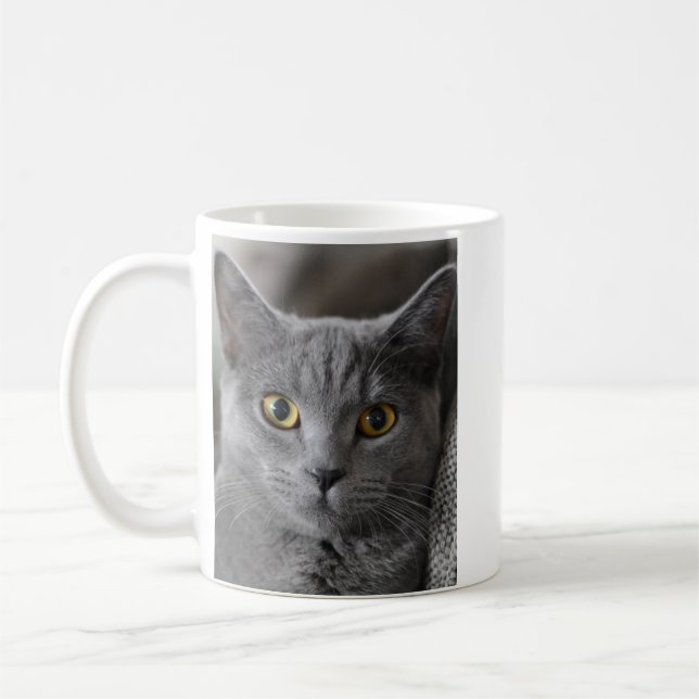 FOTO INDIVIDUELLE KAFFEETASSE KATZE HAUSTIER (Links)
