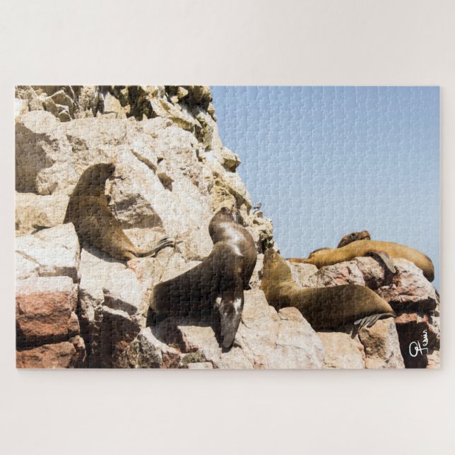 Foto Islas Ballestas, Paracas - Perú Puzzle (Horizontal)