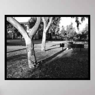 Foto IV, Portfolio #5 Poster