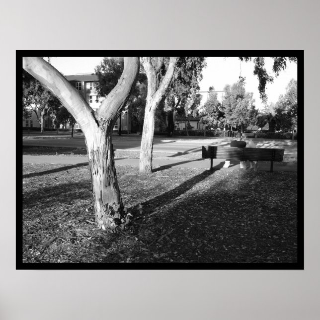 Foto IV, Portfolio #5 Poster (Vorne)