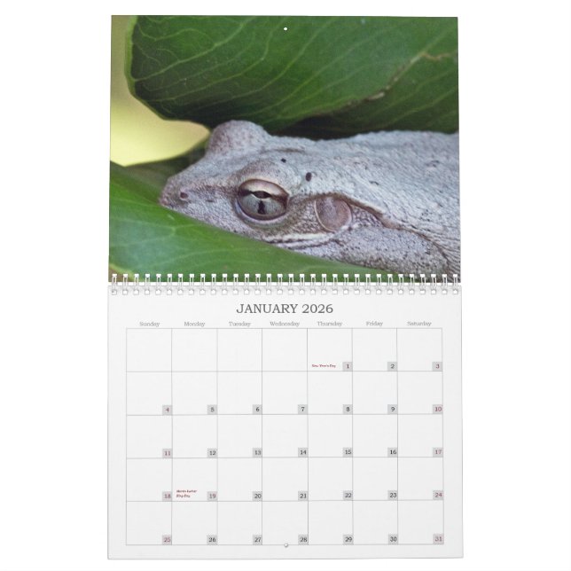 Foto-Kalender 2013 Kalender (Jan 2026)