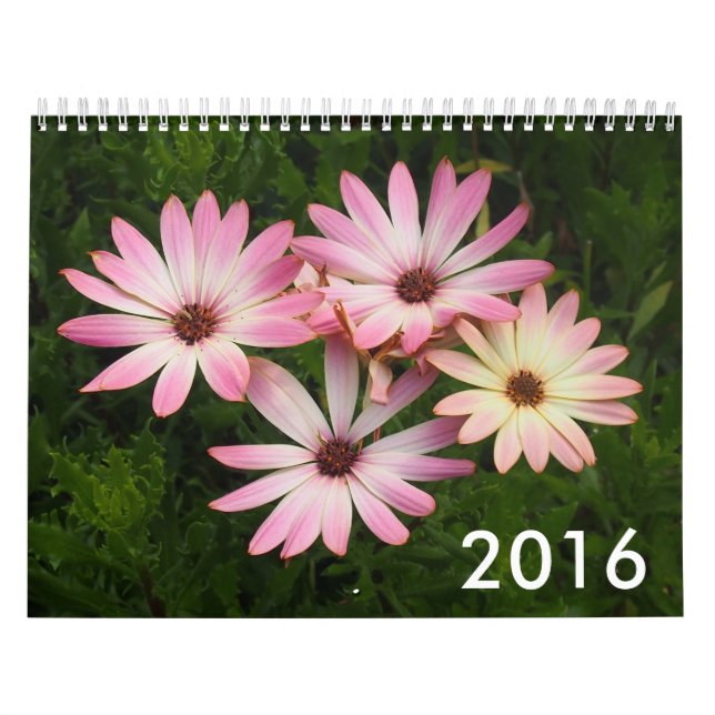 Foto-Kalender 2016 Kalender (Titelbild)