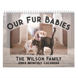 Foto-Kalender 2024: Pelztiere, Haustiere, Hunde, K Kalender