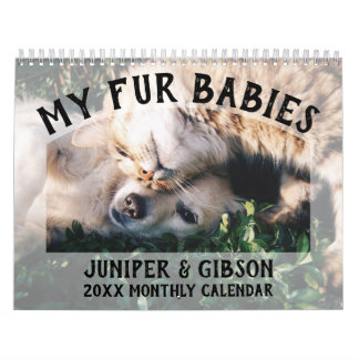 Foto-Kalender 2024: Pelztiere, Haustiere, Katzen, Kalender