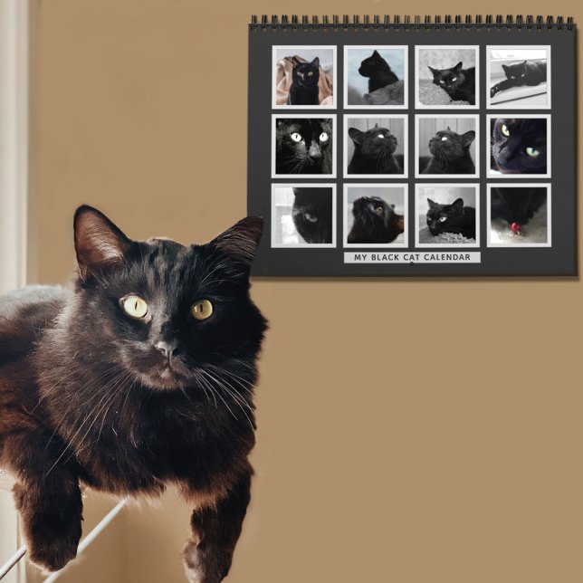 Foto-Kalender für Schwarze Katze Retro-Bilderrahme Kalender (We all take pictures of our cats. (I have hundreds lol) Add your favorites to this cat calendar)