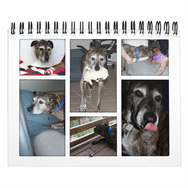 Foto-Kalender Kalender (Titelbild)