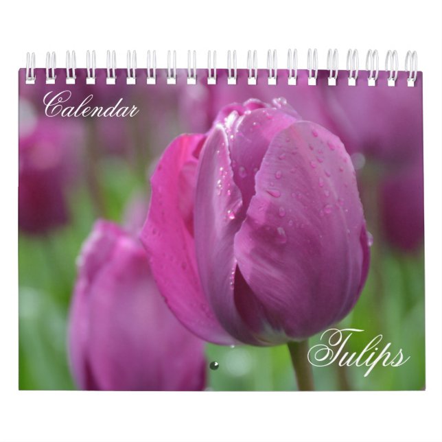 Foto Kalender Tulip (Titelbild)